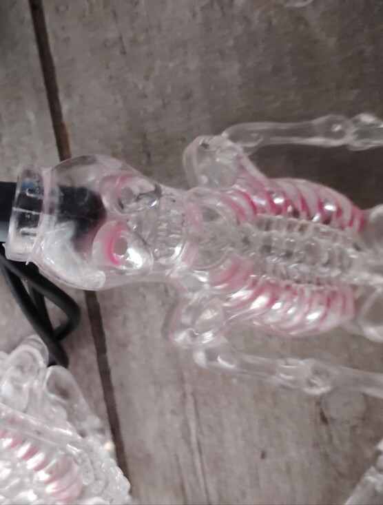 Other - Halloween Skeleton Lights